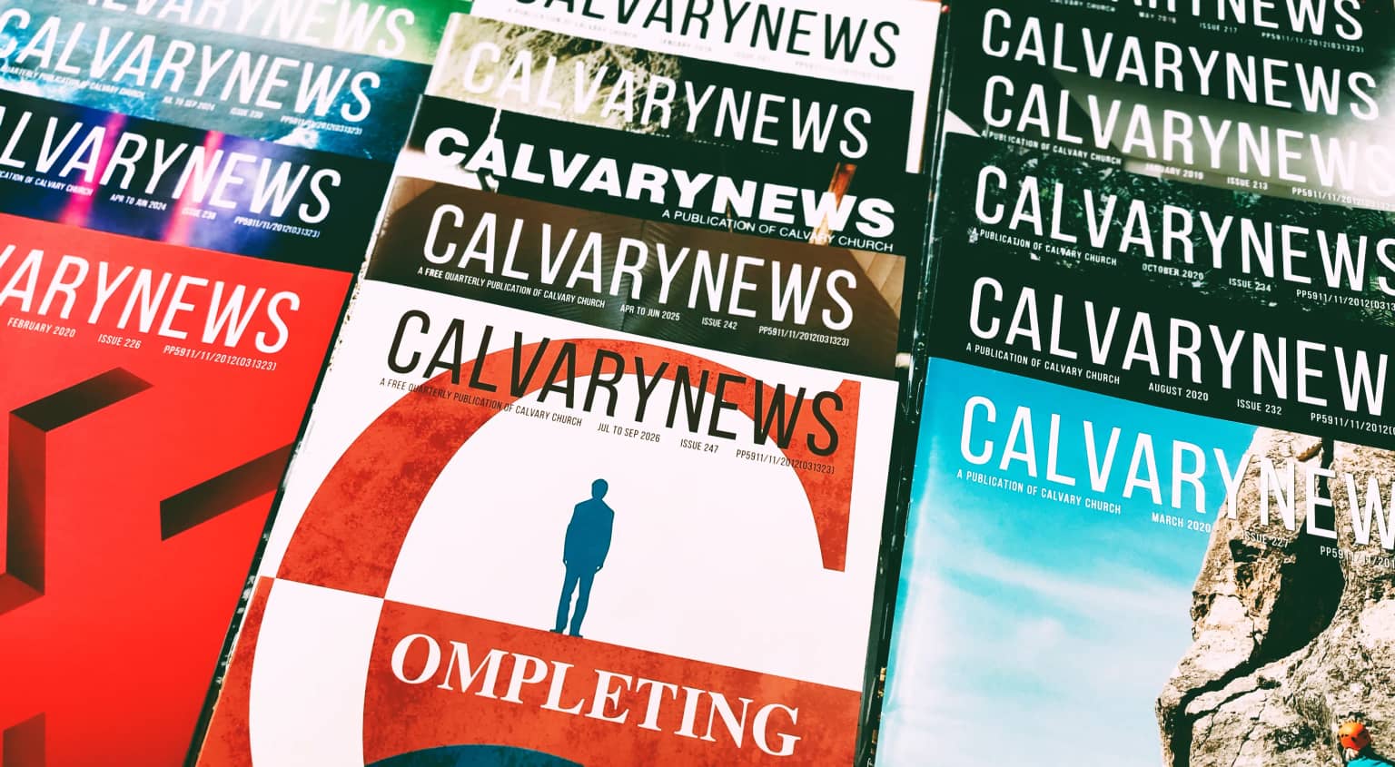 Read the Full Newsletter