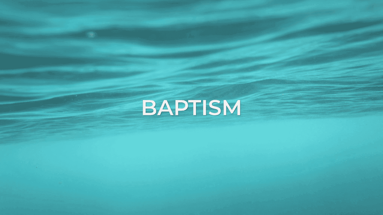 Congratulations to 6 Calvarites 